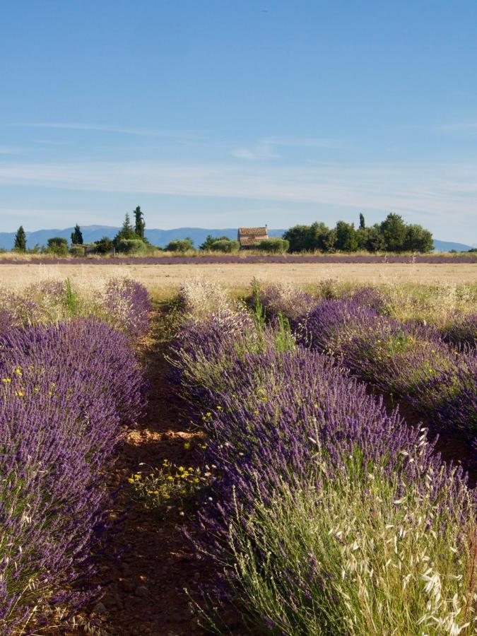Oasis Tranquille - L'evasion Au Verdon Greoux-les-Bains
