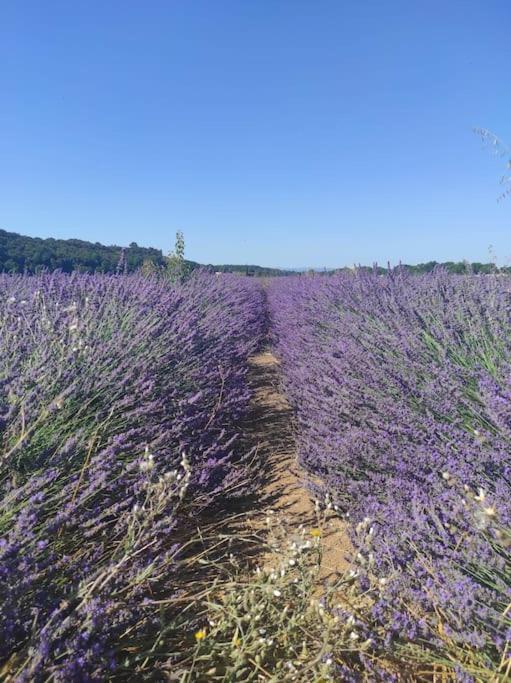 Oasis Tranquille - L'evasion Au Verdon Apartamento *