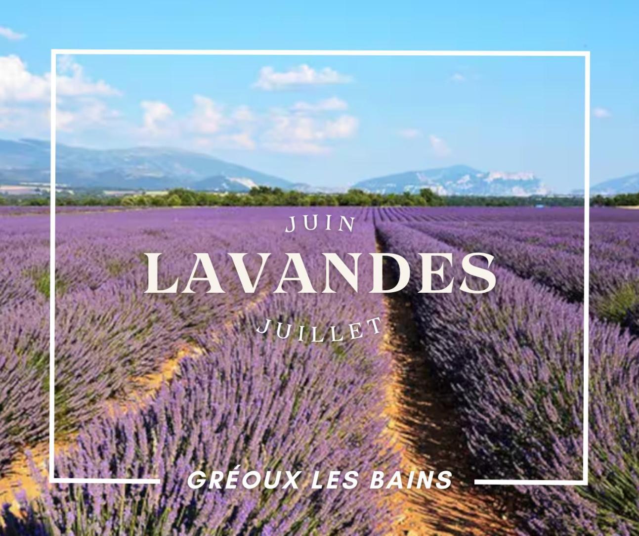 Apartment Oasis Tranquille - L'evasion Au Verdon Greoux-les-Bains